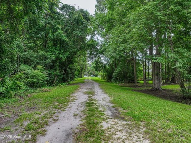 Turnkey downtown living in the heart of historic St. Marys - one - photo 45