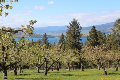Flathead Lake Acreage For Sale in Polson Montana