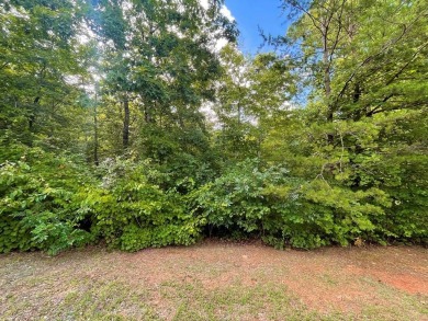 Lake Lot For Sale in Ellijay, Georgia