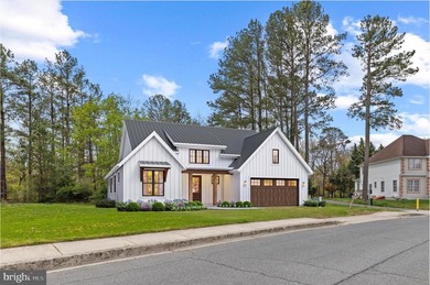 Lake Home For Sale in Milton, Delaware