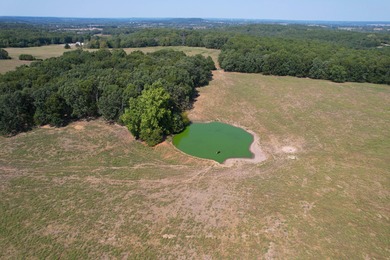 (private lake, pond, creek) Acreage For Sale in Strafford Missouri