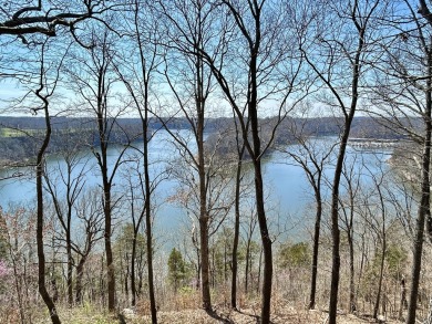 Amazing year-round lake views of beautiful Lake Cumberland from - Lake Home For Sale in Somerset, Kentucky
