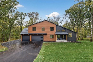 Lake Home For Sale in Palmer Twp, Minnesota