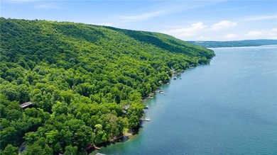 Quintessential West Bluff Drive on Keuka Lake. Nestled among the - photo 38