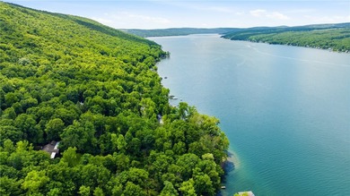 Quintessential West Bluff Drive on Keuka Lake. Nestled among the - photo 39