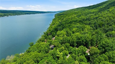 Quintessential West Bluff Drive on Keuka Lake. Nestled among the - photo 41