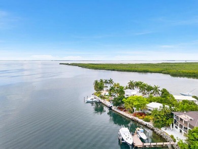 Experience the ultimate Florida Keys waterfront lifestyle in - photo 50