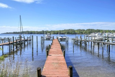 $30,000 PRICE IMPROVEMENT just in time for summer!! Waterfront - photo 40