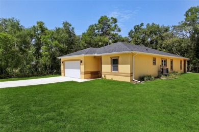 Withlacoochee River Home For Sale in Webster Florida