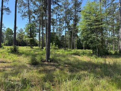 Lake Sam Rayburn  Lot For Sale in Brookeland Texas