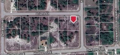 Lehigh Acres Area Lot For Sale in Lehigh Acres Florida