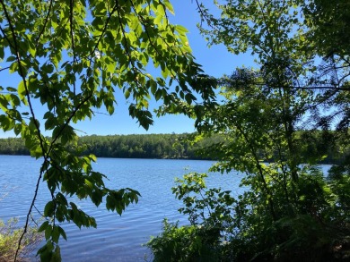 Camp 6 Lake Acreage For Sale in Laona Wisconsin