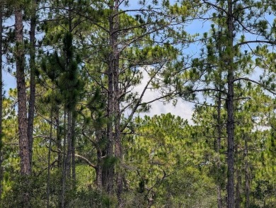 Lake Lot For Sale in Indian Lake Estates, Florida