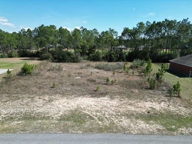 This beautiful and ready to build .60 acre lot backing up to - photo 3