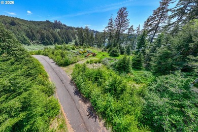 Lot #13 $179,900 for a 1.07-acre lot for sale in Montgomery View - photo 6