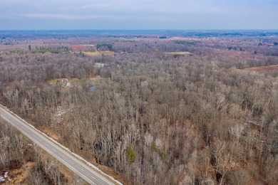 18.5 PRIME ACREAGE on M-140 in Watervliet Twp. Mature Woods with - photo 3