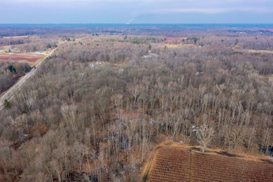 18.5 PRIME ACREAGE on M-140 in Watervliet Twp. Mature Woods with - photo 5