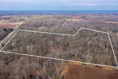 18.5 PRIME ACREAGE on M-140 in Watervliet Twp. Mature Woods with - photo 6