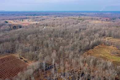18.5 PRIME ACREAGE on M-140 in Watervliet Twp. Mature Woods with - photo 7