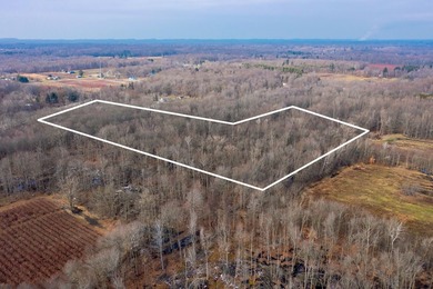 18.5 PRIME ACREAGE on M-140 in Watervliet Twp. Mature Woods with - photo 8