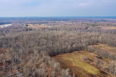 18.5 PRIME ACREAGE on M-140 in Watervliet Twp. Mature Woods with - photo 9