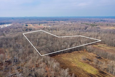 18.5 PRIME ACREAGE on M-140 in Watervliet Twp. Mature Woods with - photo 10
