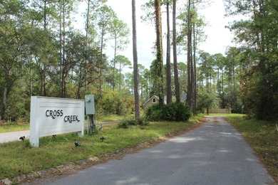 Build your family home or vacation get away, no HOA fees.. Newly - photo 3