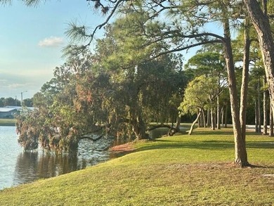 Cute cozy home in the heart of Indian River Estates! NO HOA - photo 16