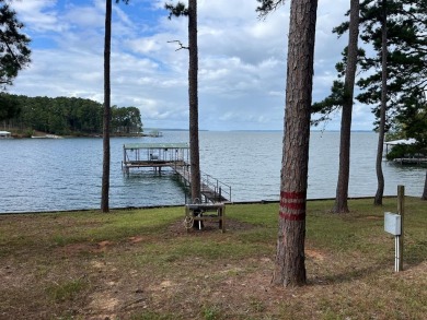 Lake Home For Sale in Abbeville, Alabama