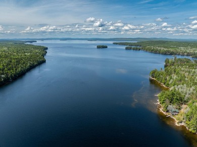 Nestled along legendary Grand Lake Stream, Little Falls Cottage - photo 47