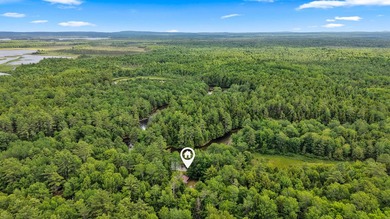 Nestled along legendary Grand Lake Stream, Little Falls Cottage - photo 48