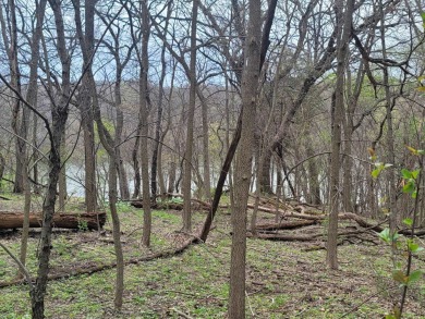 Galena Lake Lot For Sale in Galena Illinois