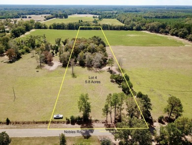 Lake Lot For Sale in Cottonwood, Alabama