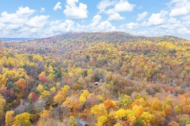 Delightful cabin style cottage on 6.60 surveyed beautiful - photo 19