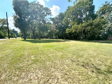 Lake Palestine Lot For Sale in Frankston Texas