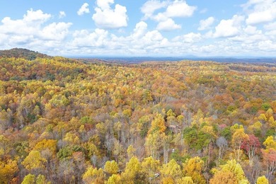 Delightful cabin style cottage on 6.60 surveyed beautiful - photo 21