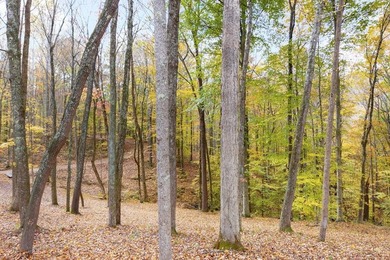 Delightful cabin style cottage on 6.60 surveyed beautiful - photo 24