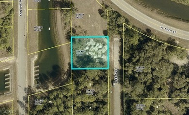 Lehigh Acres Area Lot For Sale in Lehigh Acres Florida