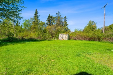 Over 200 feet of private frontage on Lake Huron's Sunrise Side - photo 50
