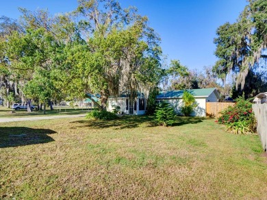 Lake Panasoffkee Home For Sale in Lake Panasoffkee Florida