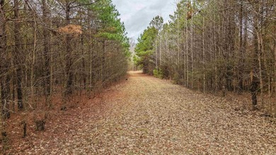 (private lake, pond, creek) Acreage For Sale in Pine Bluff Arkansas