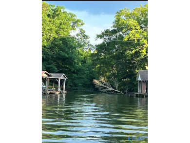 Weiss Lake Acreage For Sale in Centre Alabama