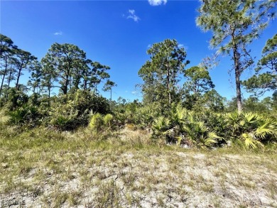 (private lake, pond, creek) Lot For Sale in Punta Gorda Florida
