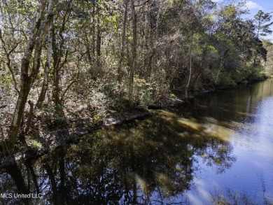 (private lake, pond, coastal) Lot For Sale in Gautier Mississippi
