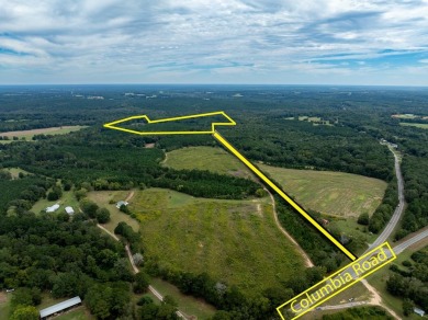 Lake Lot For Sale in Abbeville, Alabama