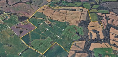 Prime location in Bourbon County. +/- 773 acres horse farm in - photo 2