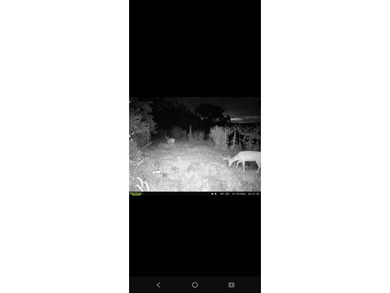 The hunt is over before it begins. With deer season fast - photo 5
