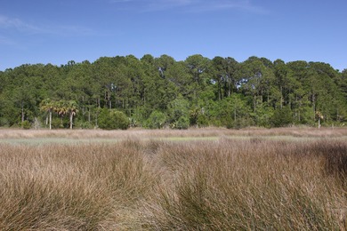 Developers, builders, investor take note! 3 Parcels bundled for - photo 1