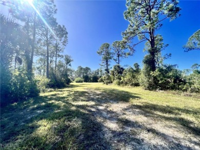 This lot offers a very nice opportunity to build your dream home - photo 1