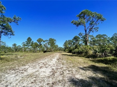 This lot offers a very nice opportunity to build your dream home - photo 2
